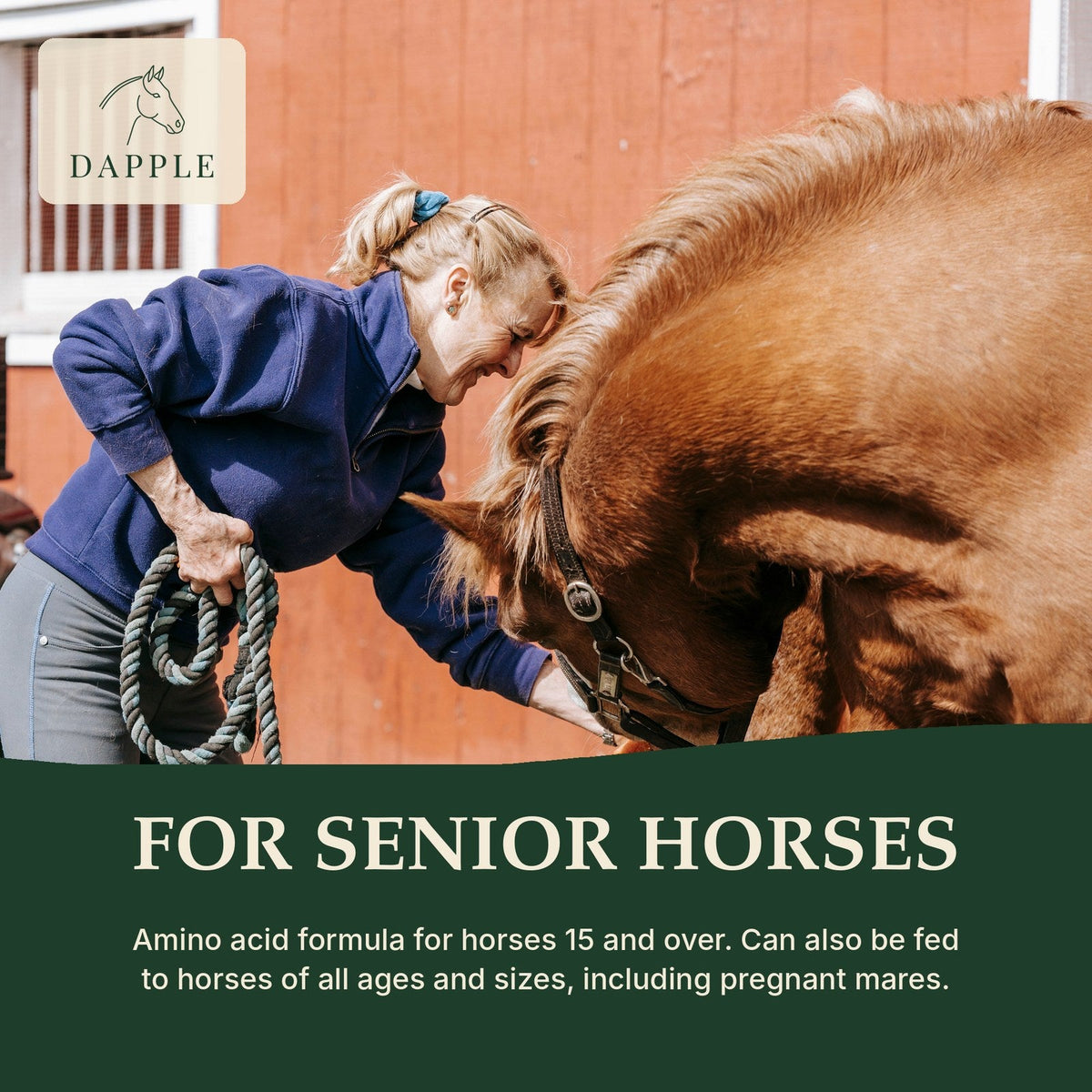 For senior horses