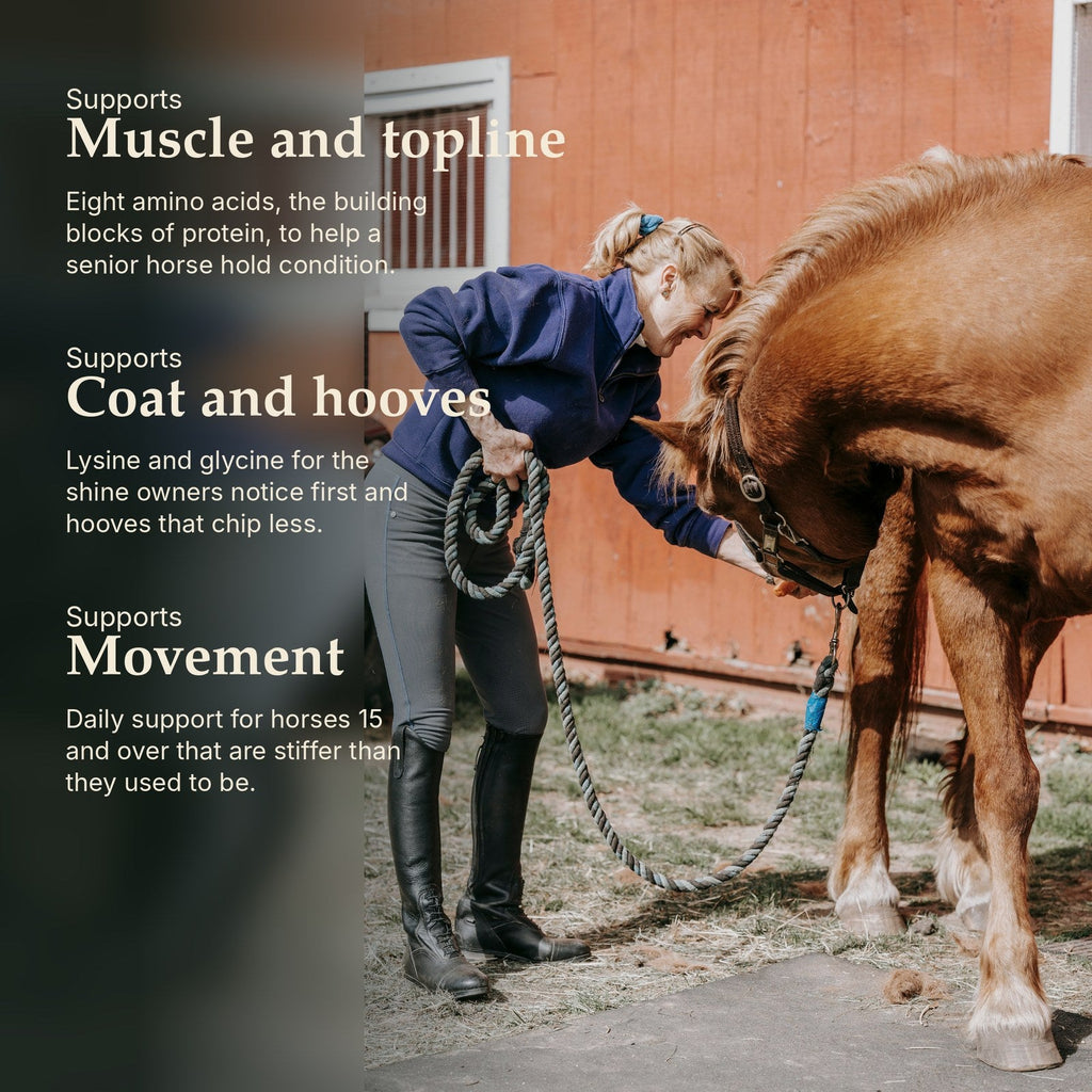 Supports muscle, coat and hooves, and movement