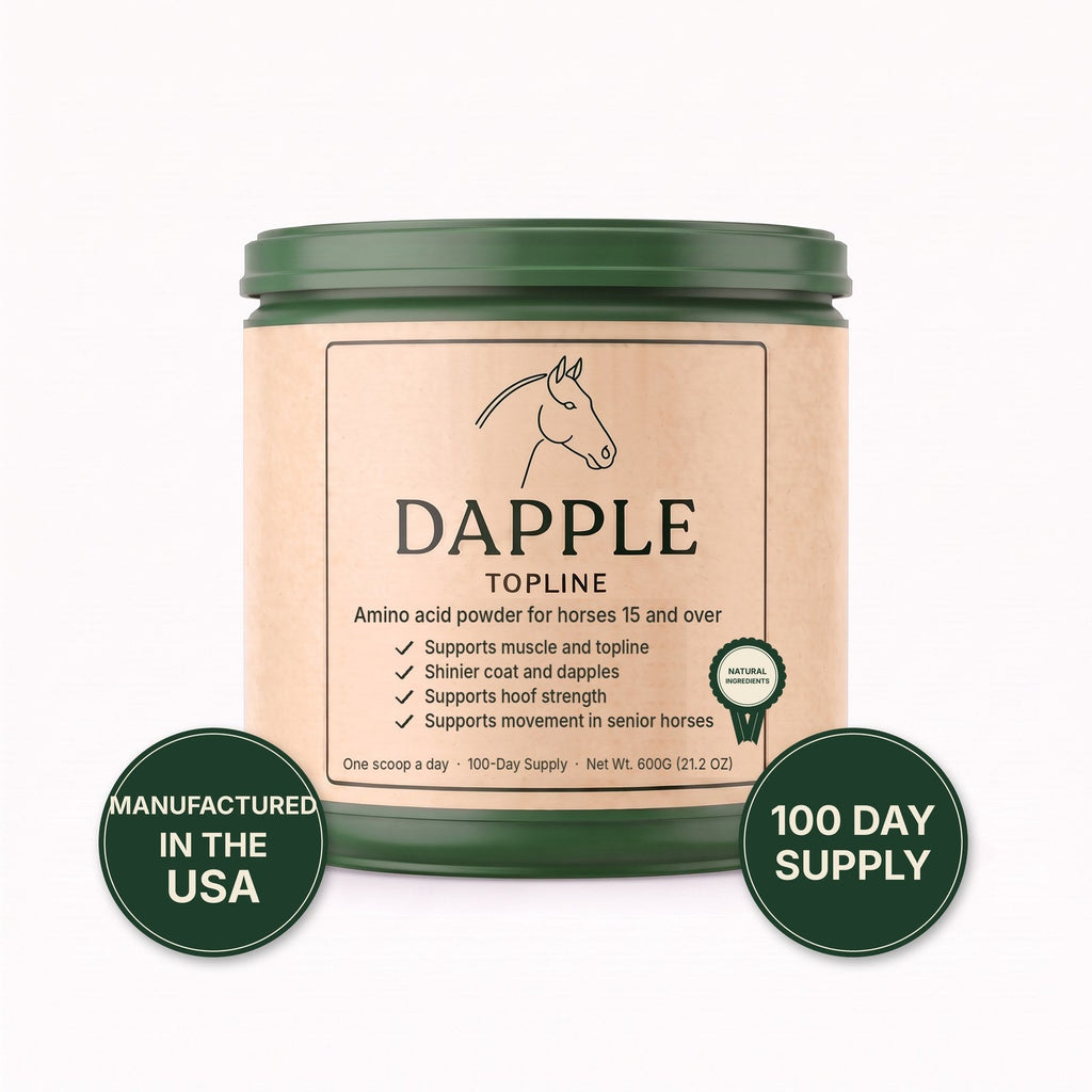 Dapple Topline amino acid powder for senior horses, 100 day supply, manufactured in the USA