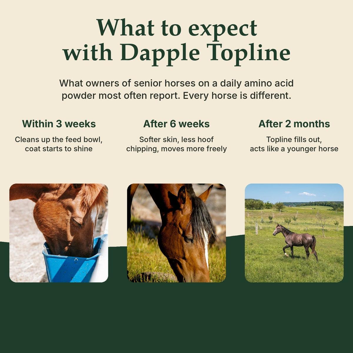 What to expect